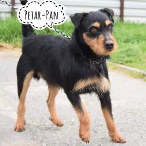 PETAR-PAN