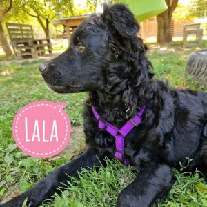 LALA