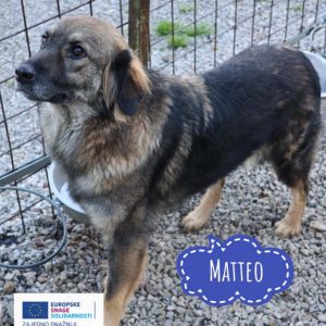 MATTEO