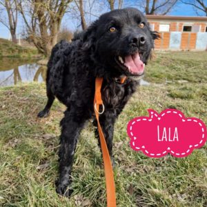 LALA
