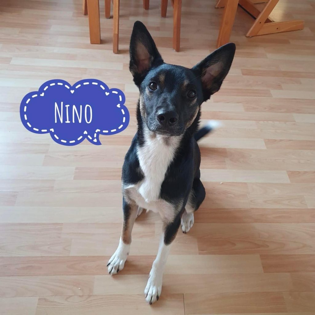 NINO