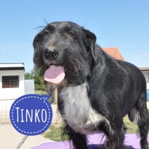 TINKO