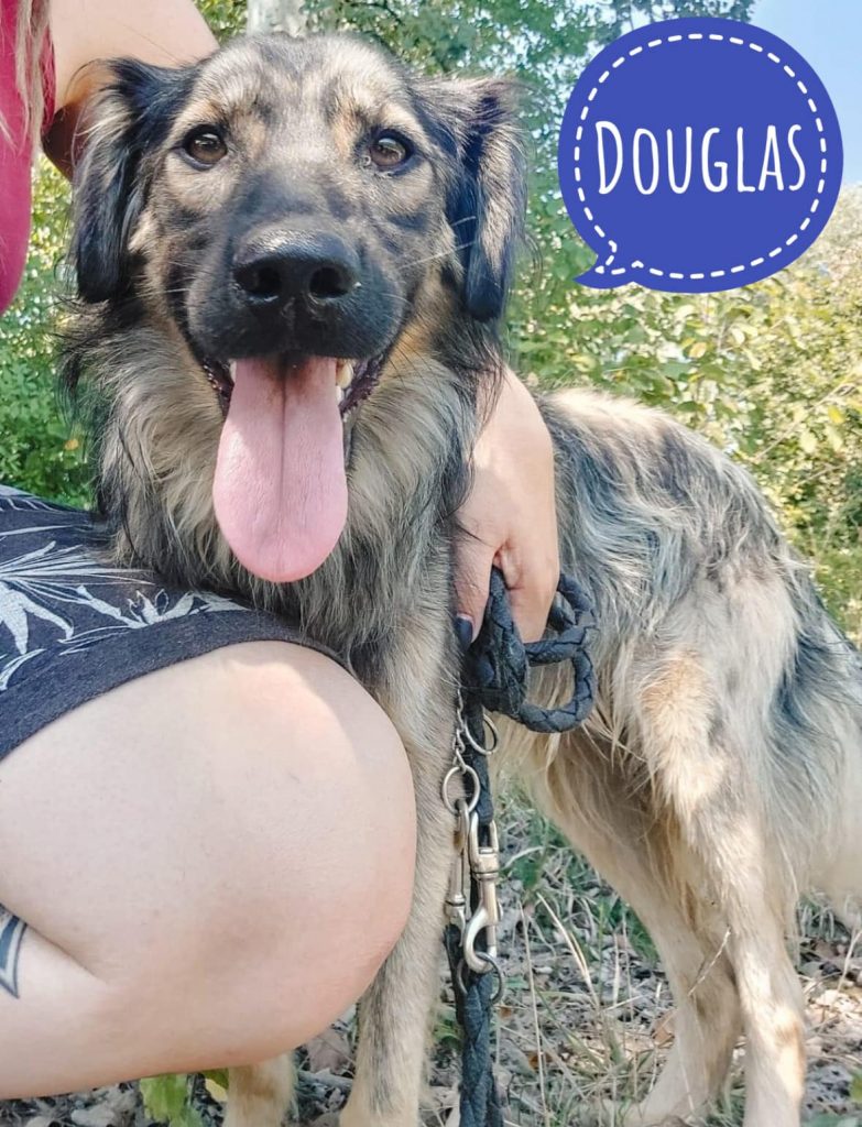 DOUGLAS