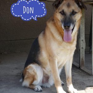 DON
