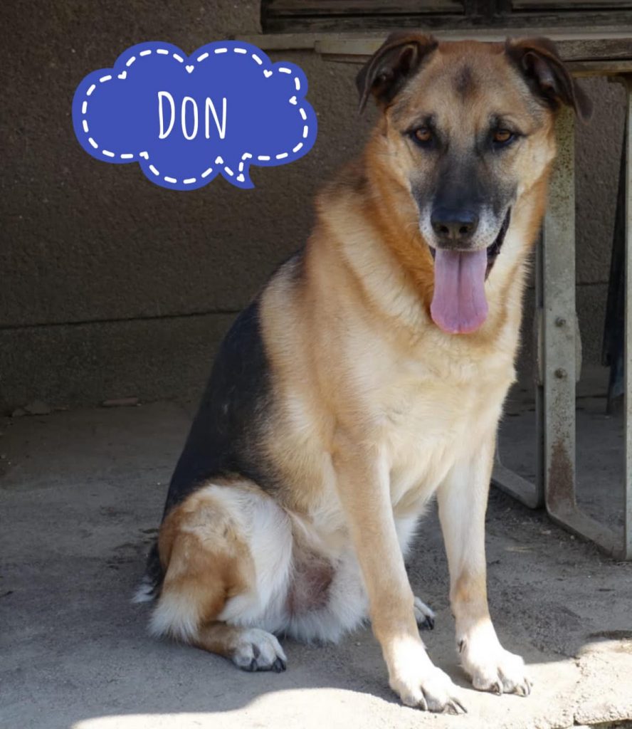 DON