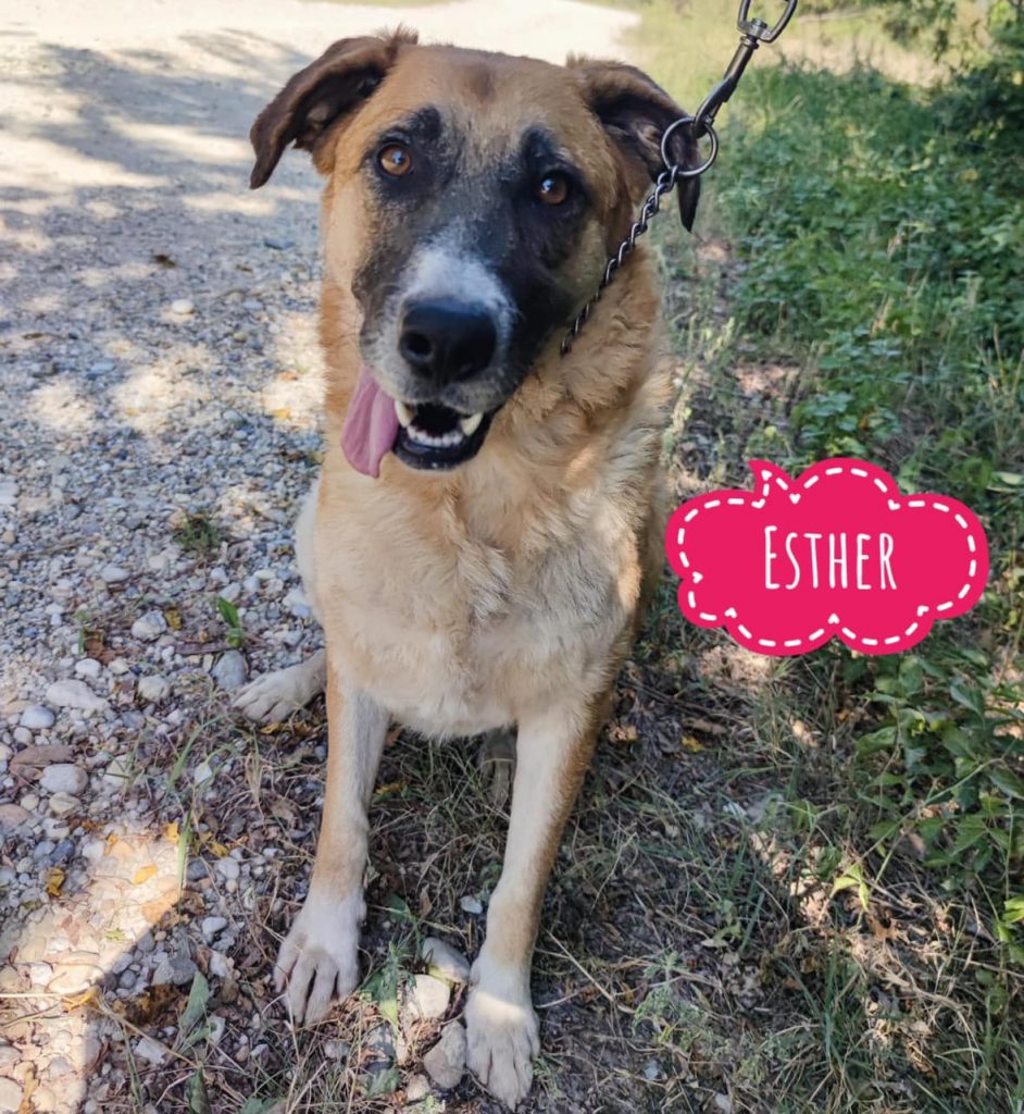ESTHER