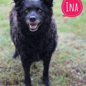 INA