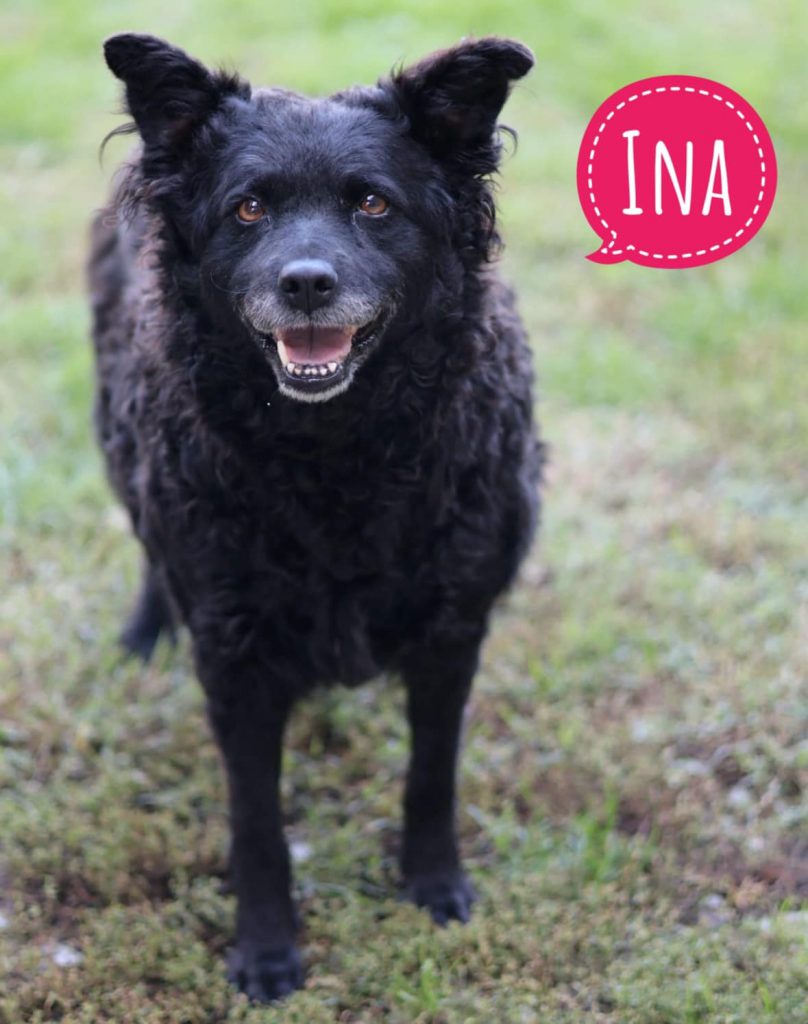 INA