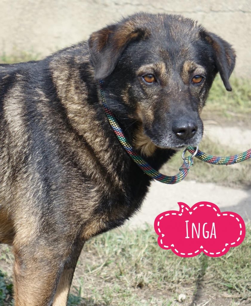 INGA