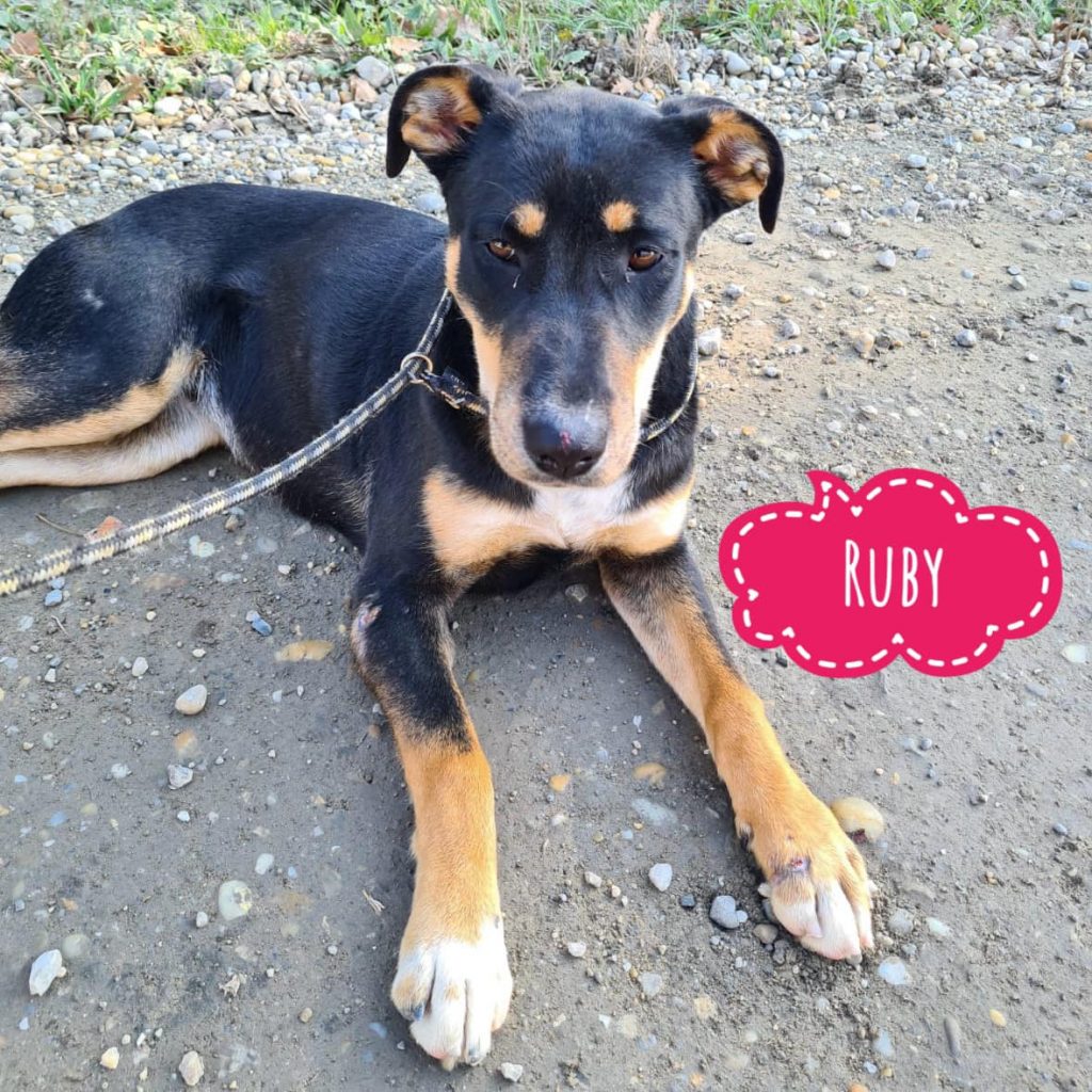 RUBY