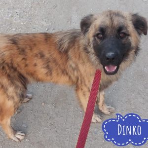 DINKO