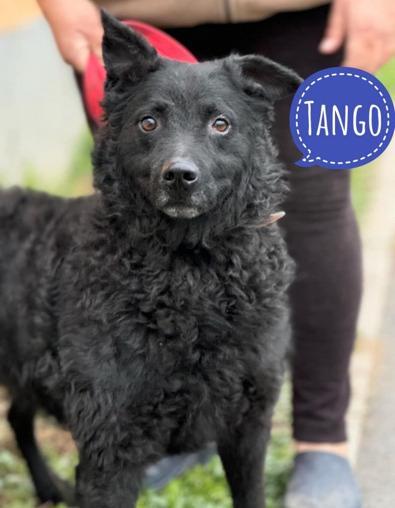 TANGO