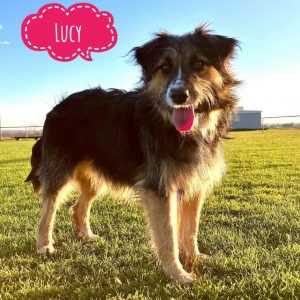 LUCY