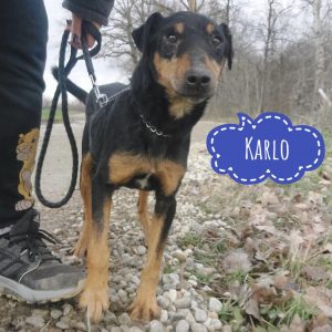 KARLO