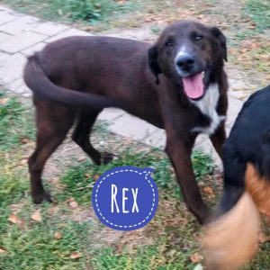 REX