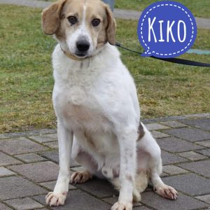 KIKO