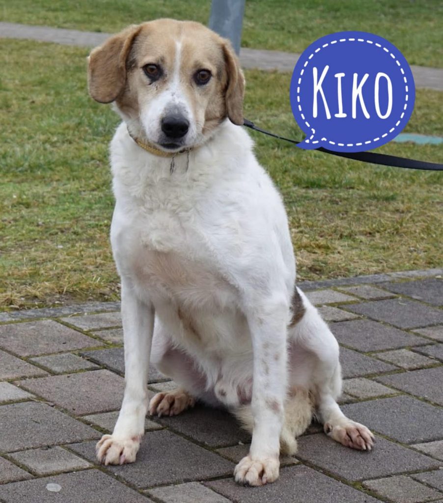 KIKO