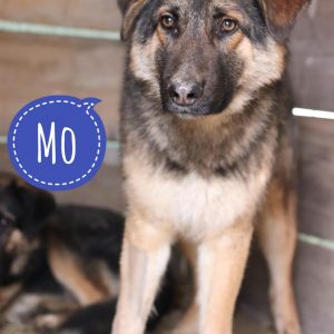 MO