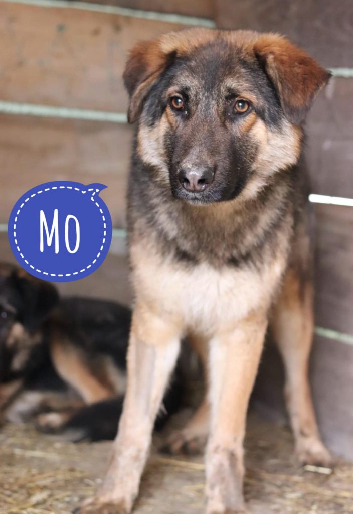 MO