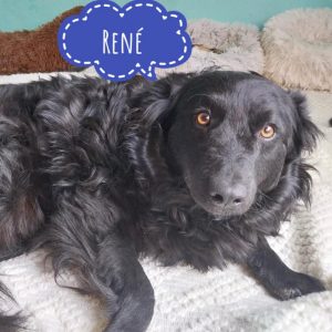 RENÉ