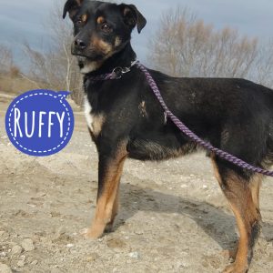 RUFFY