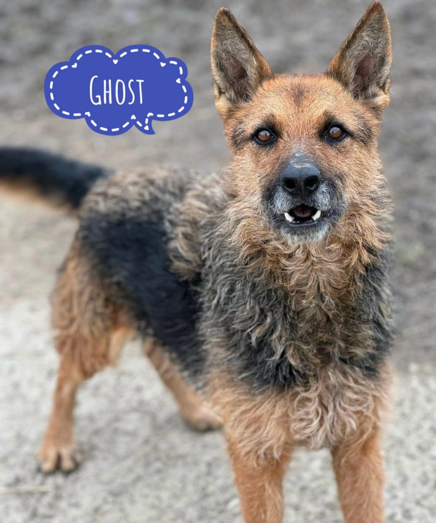 GHOST