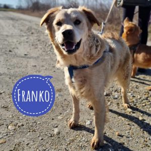 FRANKO