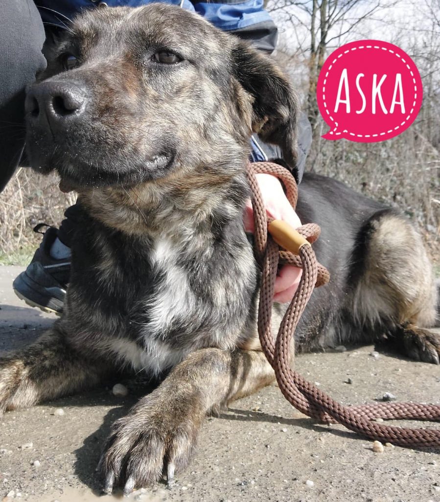 ASKA