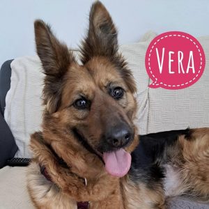 VERA