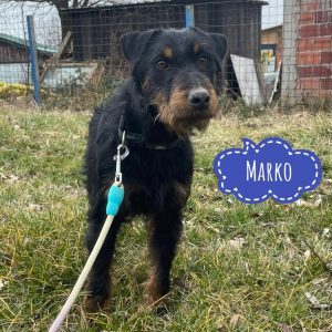 MARKO