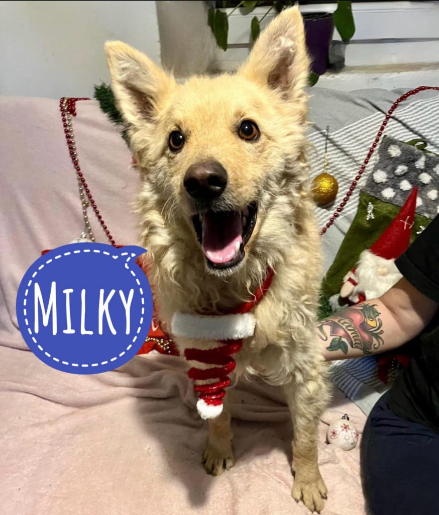 MILKY