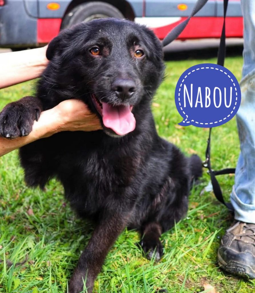 NABOU