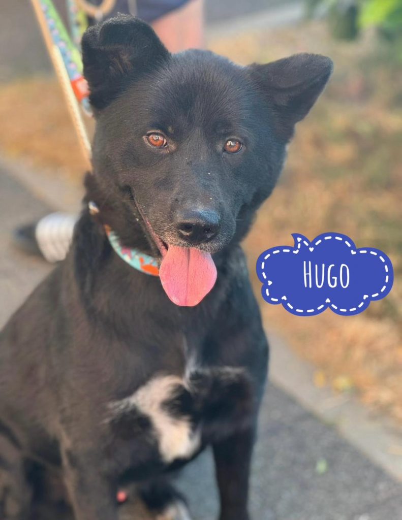 HUGO