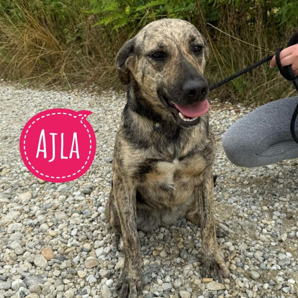 AJLA