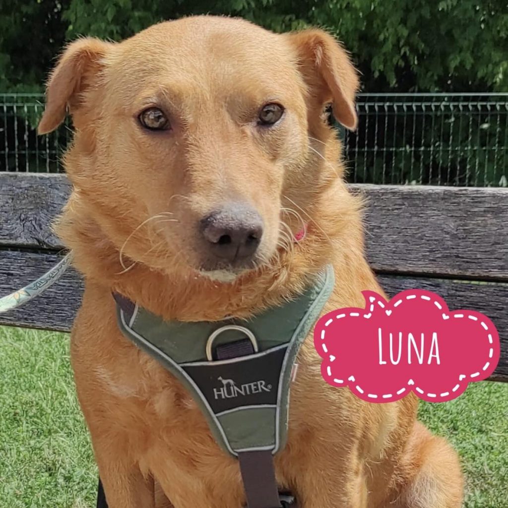 LUNA