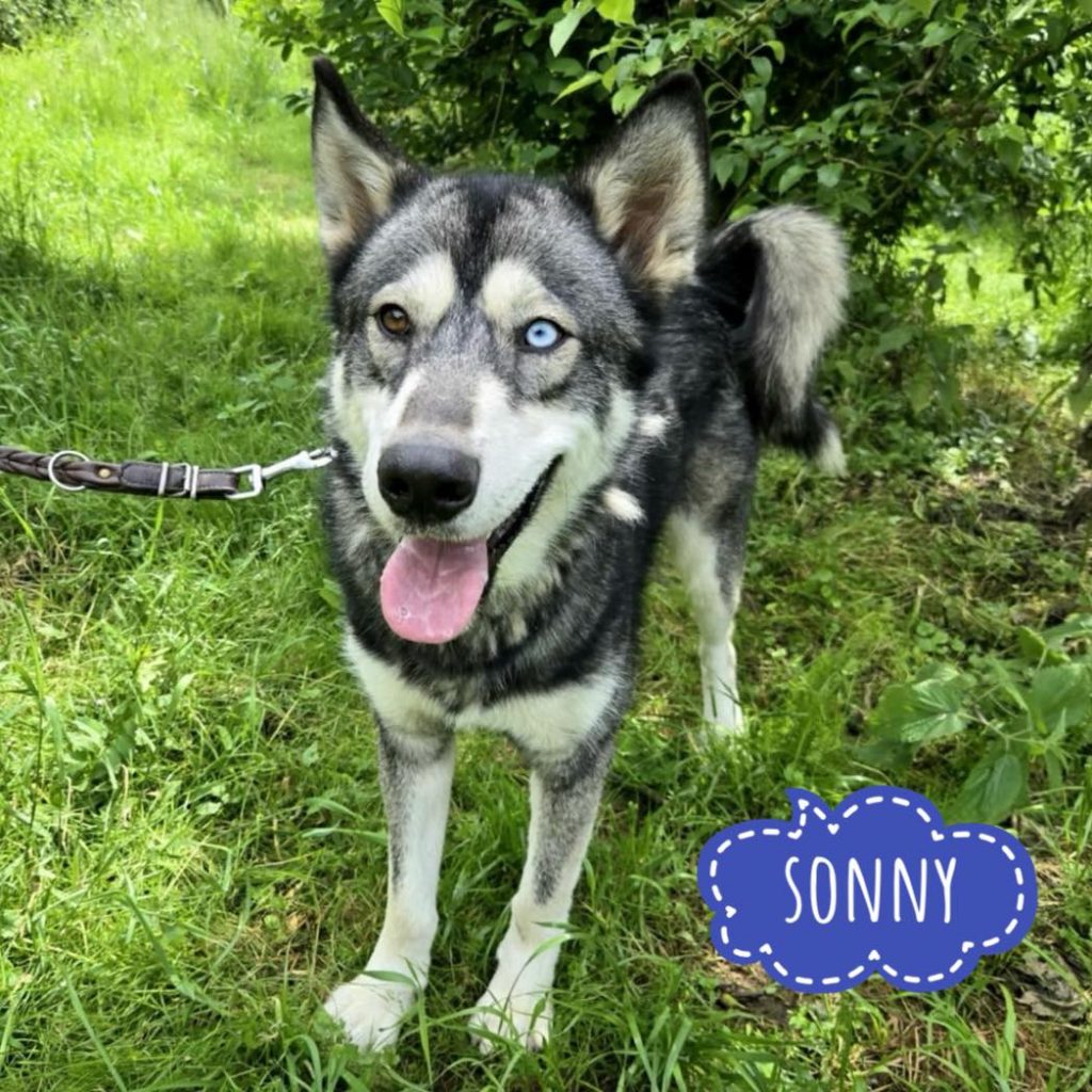 SONNY