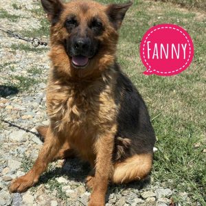 FANNY