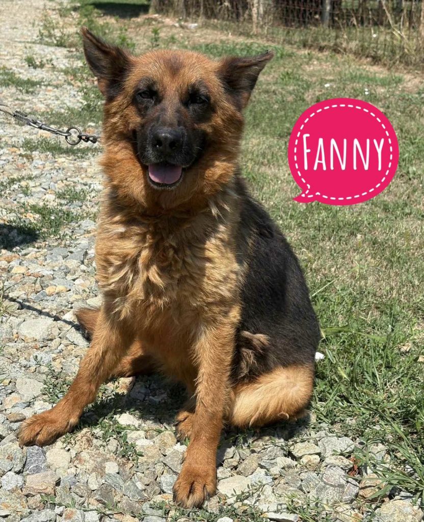 FANNY
