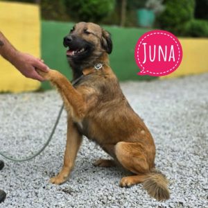 JUNA