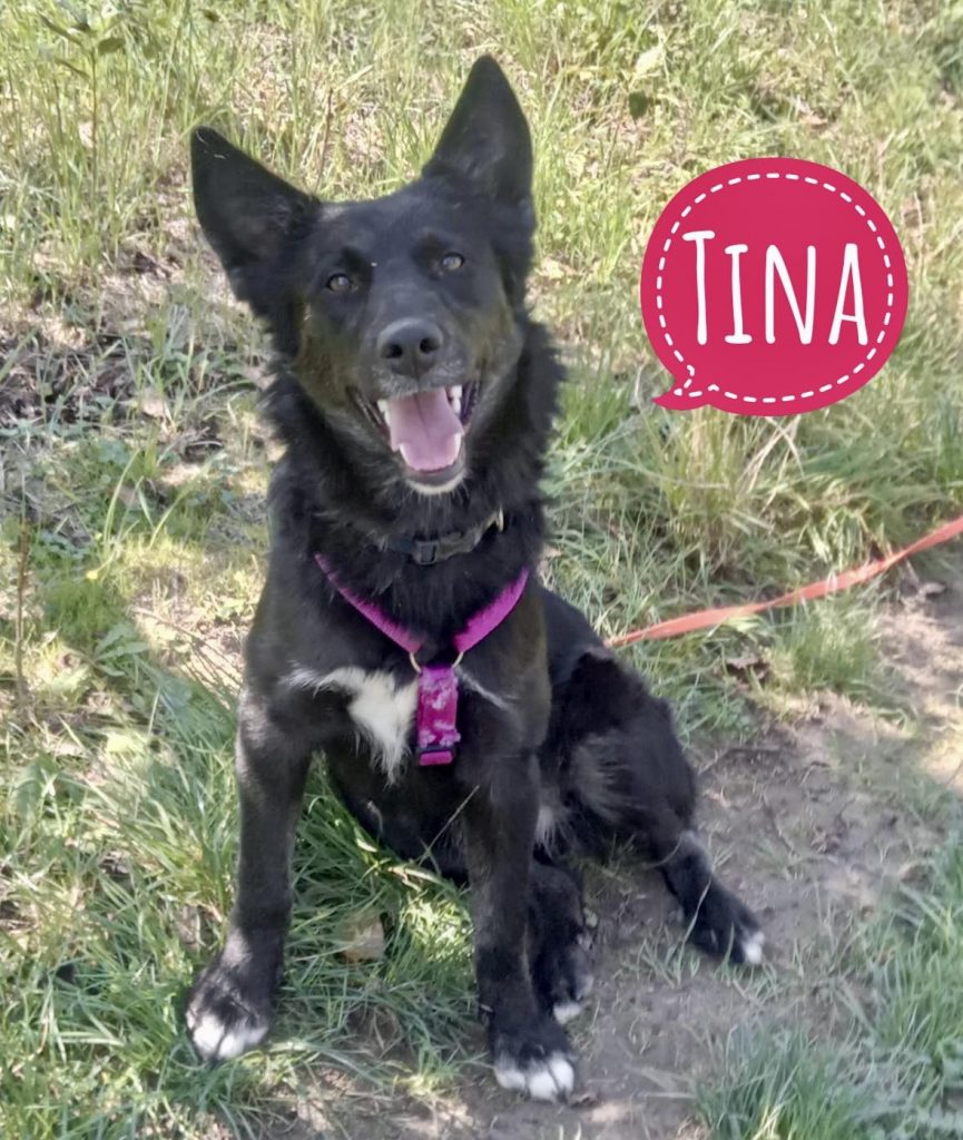 TINA