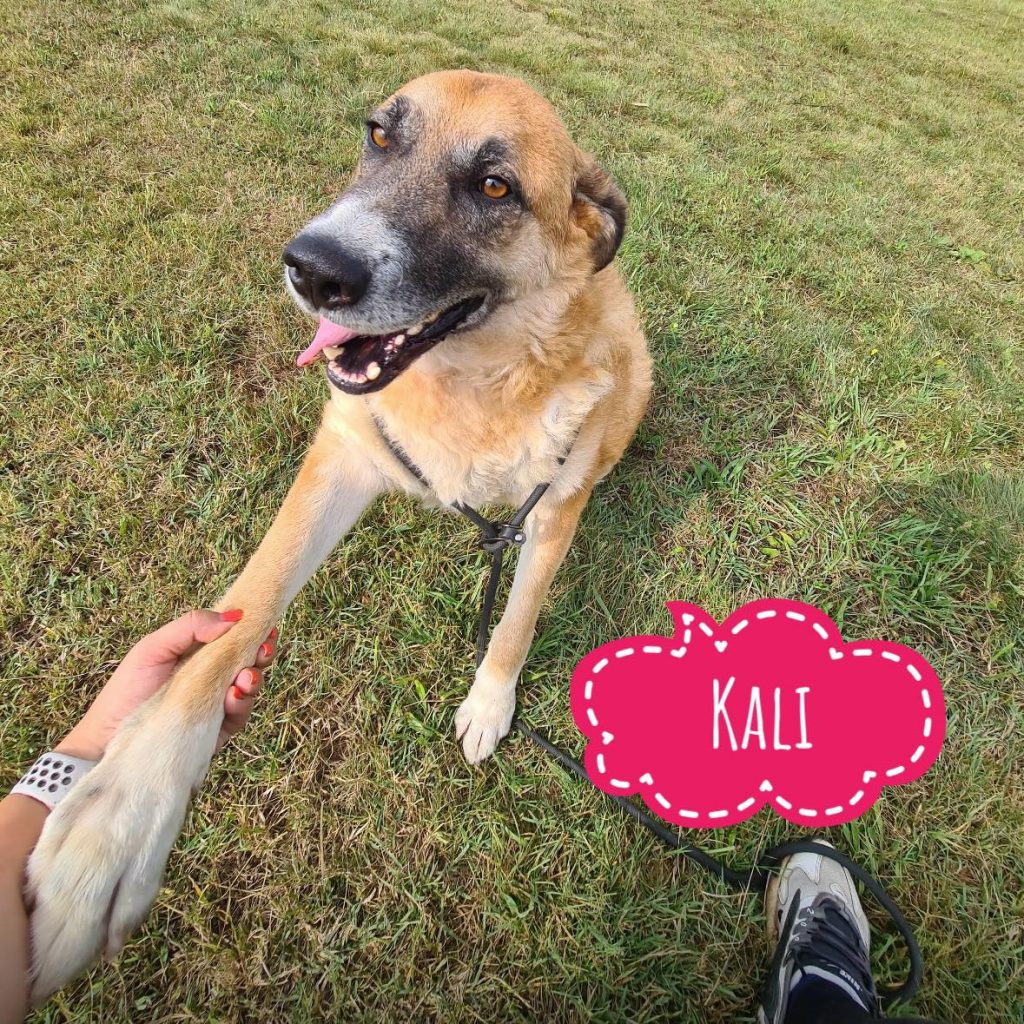 KALI