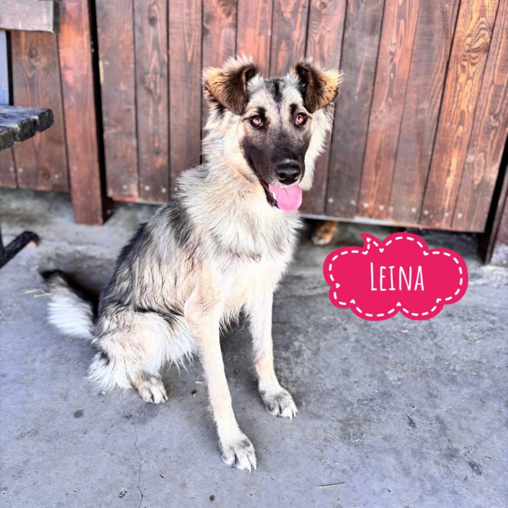 LEINA