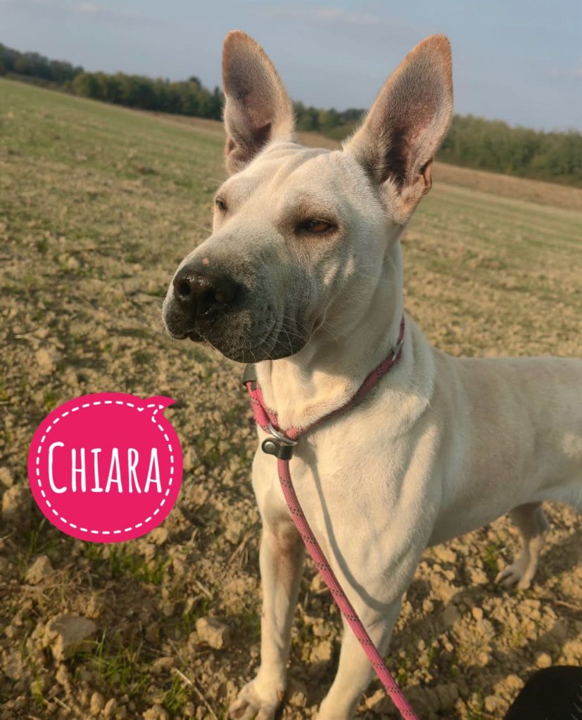 CHIARA