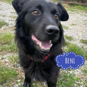 BENI