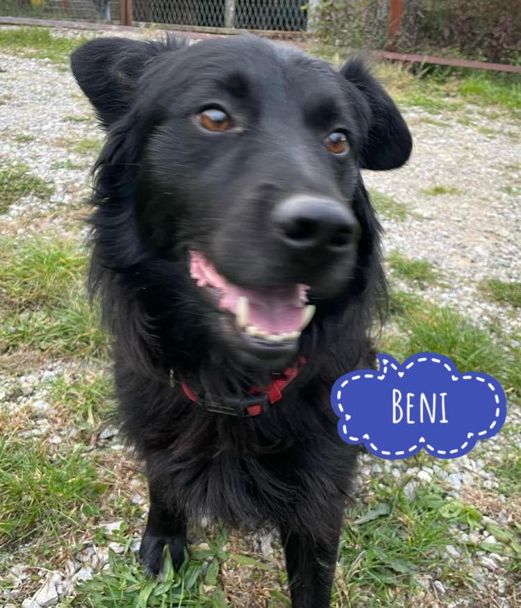 BENI