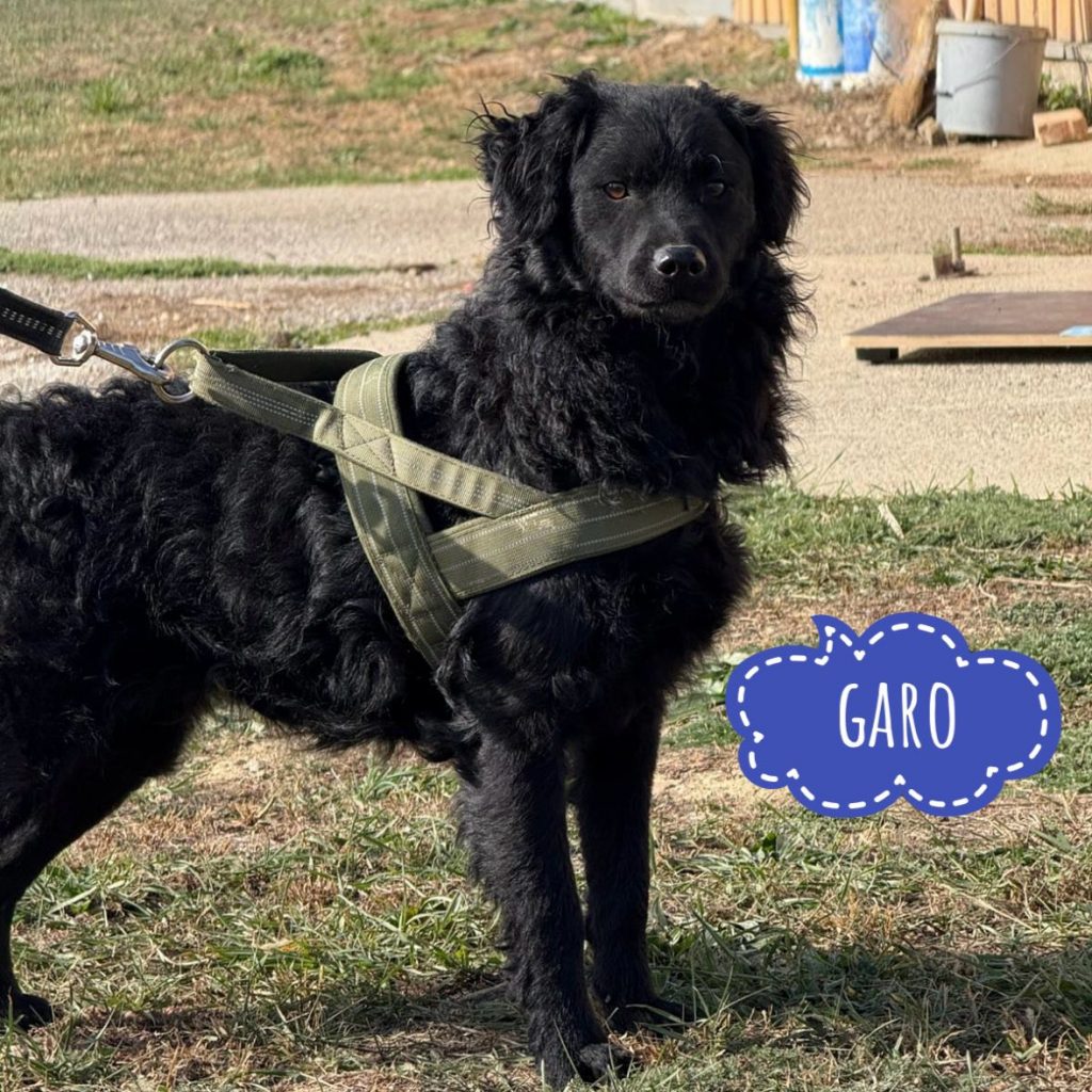 GARO