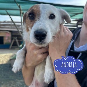 ANDRIJA