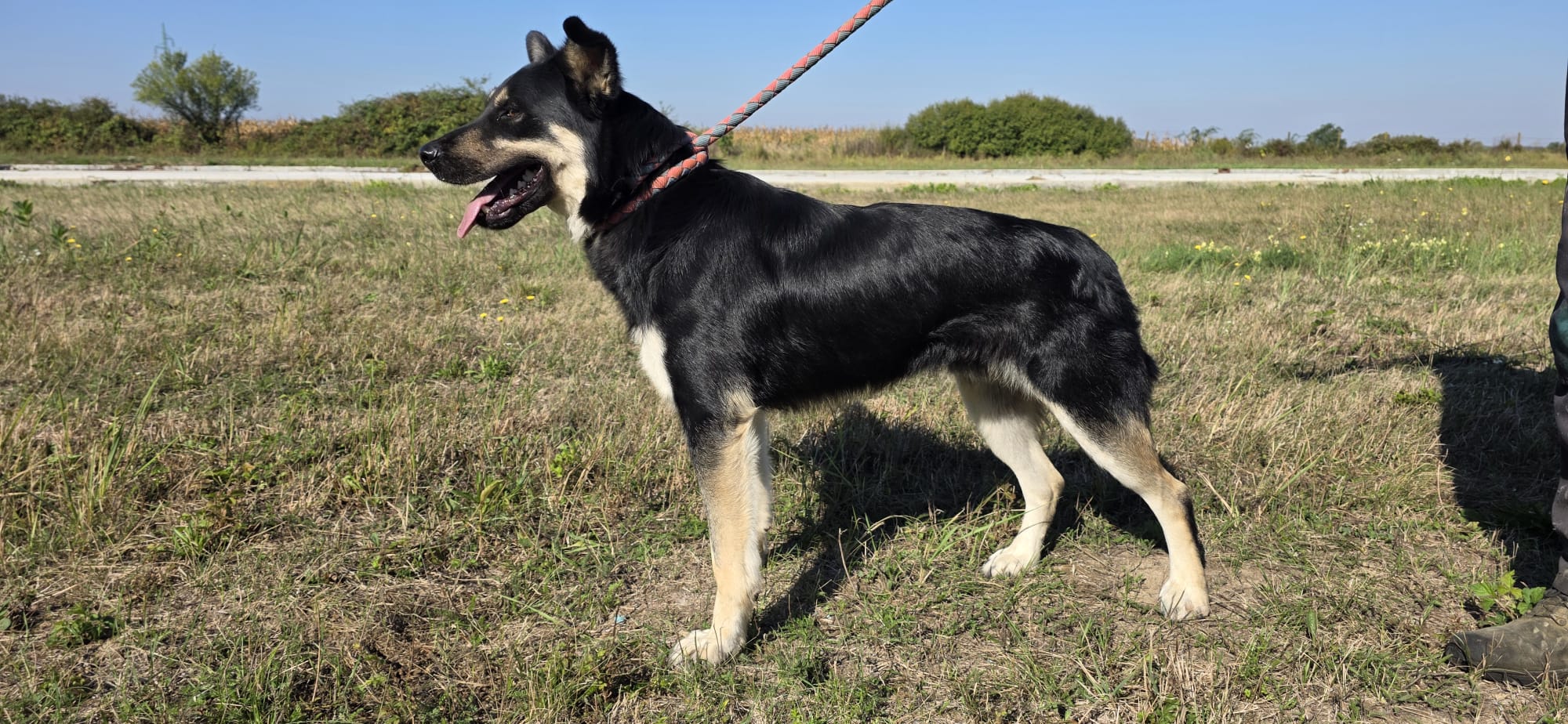 ROCKY – Bild 7