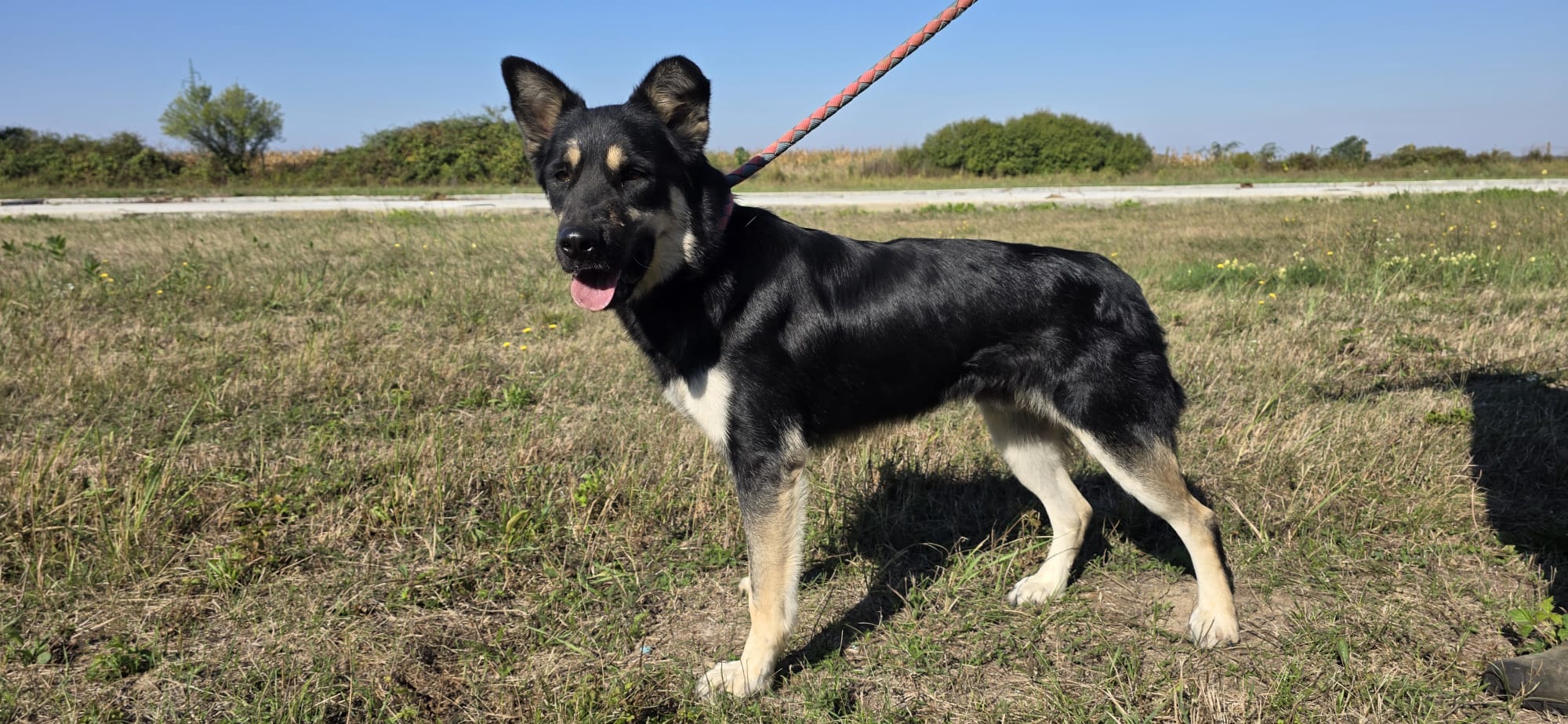 ROCKY – Bild 12
