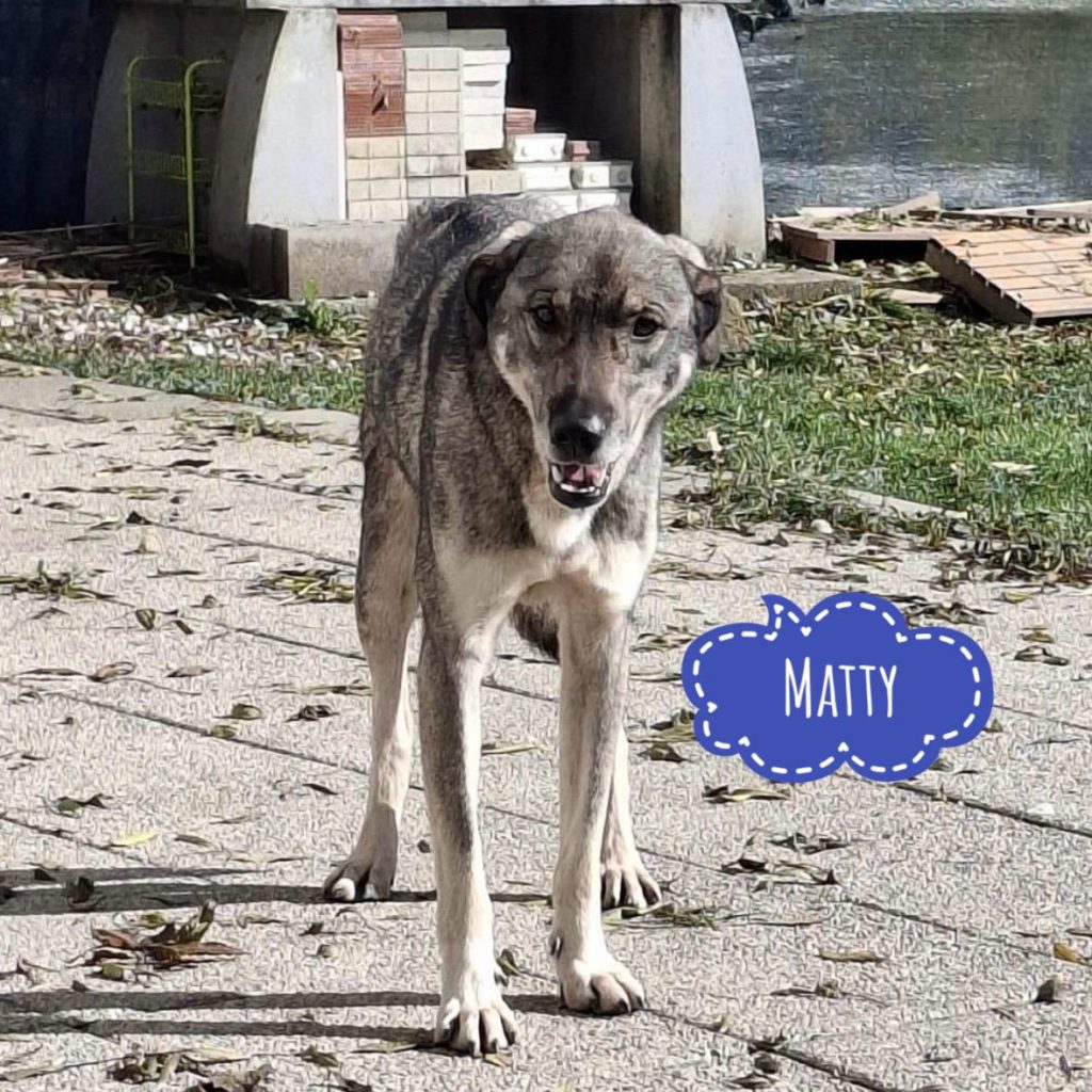 MATTY